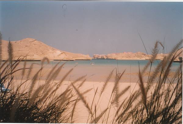 Ras Madrakah