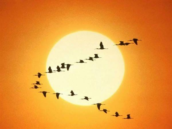 Djiboutian sunset