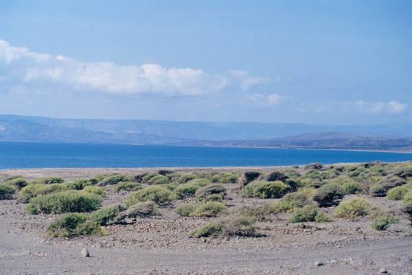 Gulf of Tajoura
