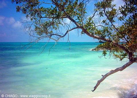 Moucha island