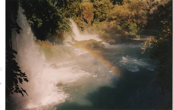 Rainbow on waterfall spray among lush green trees