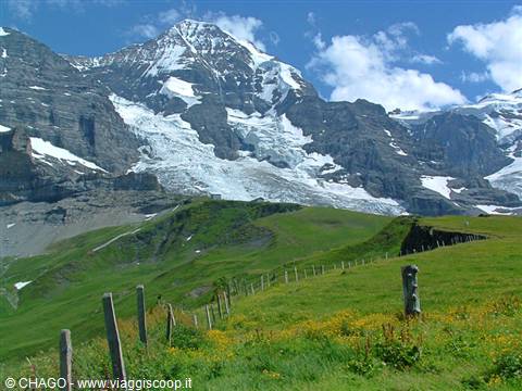 Snowy glacier above green fenced meadows, Jungfrau