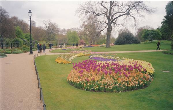 the gardens of Hyde Park