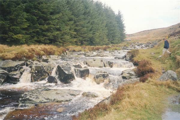 Vartry river