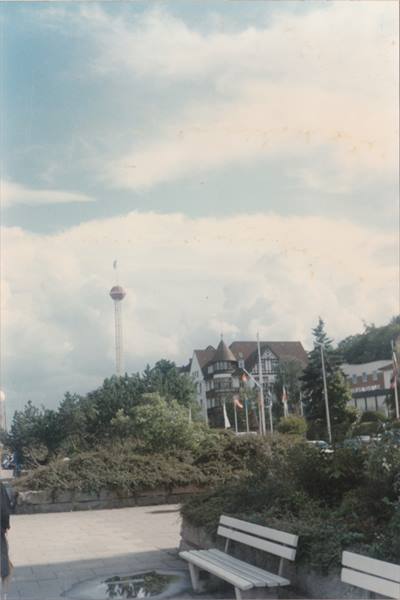 Wooden benches and bushes under clouds, an observation tower among trees