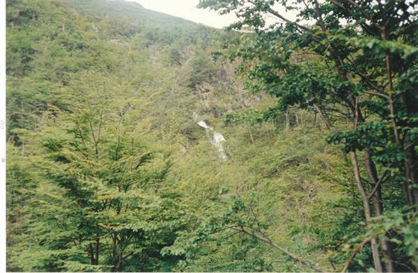 Velo de novia waterfall