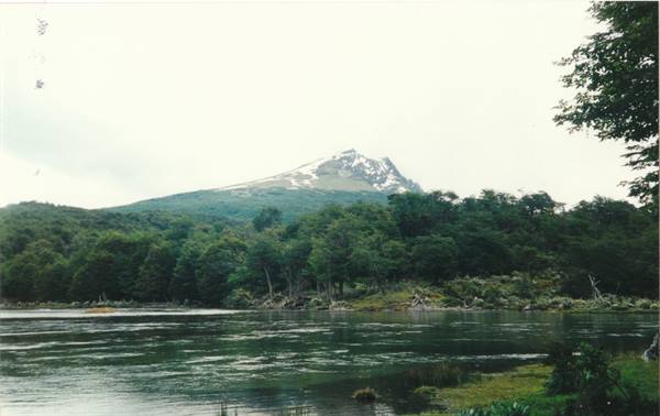 Snowy peak above green forest and dark river, gray sky