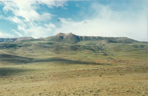 the Argentine Pampa
