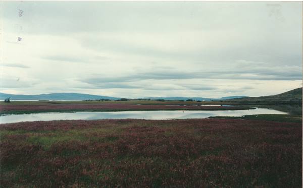 El Calafate, laguna Nimes