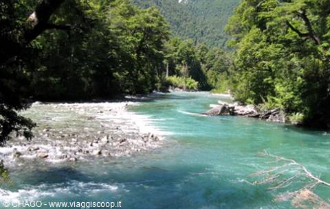 Turquoise river flowing over white rocks amid lush green forest