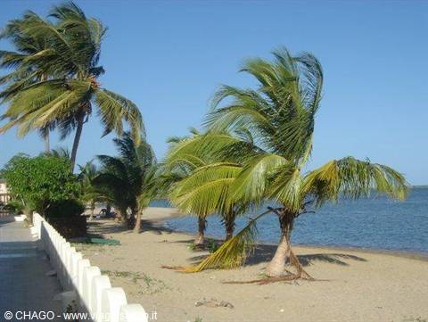 beach on the Gambia river