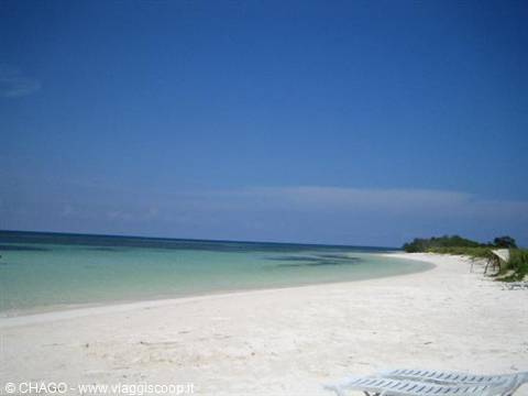 La Gorda beach