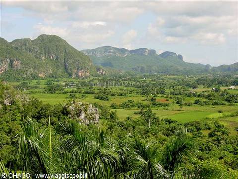 Viñales Valley: tropical palms and limestone mogotes under cloudy skies