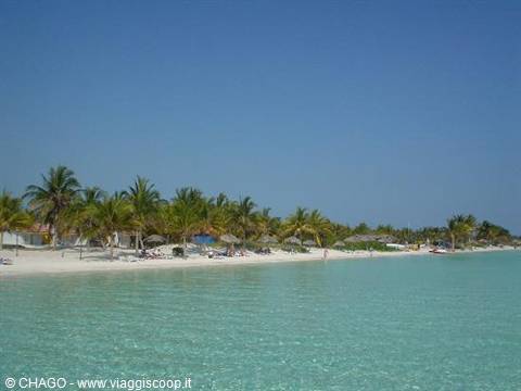 White sand beach with palm trees and thatched umbrellas, turquoise water