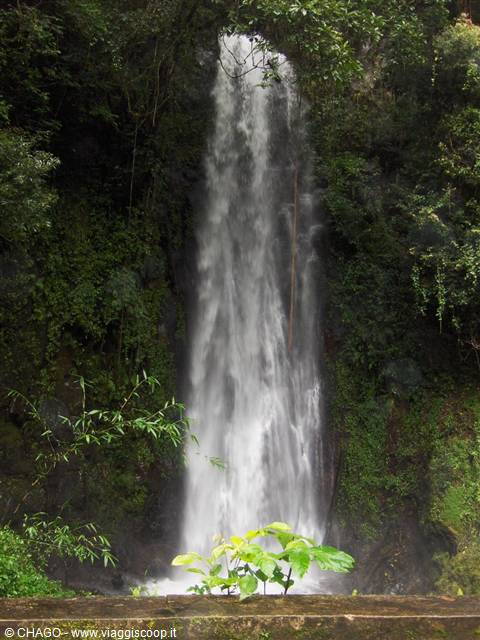 White waterfall cascading among lush tropical greenery, stone wall foreground, soft natural light