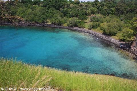 Turquoise water in a black lava cove between green grass and lush vegetation