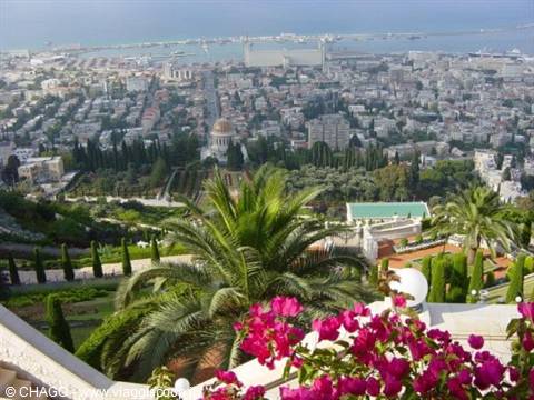 The Bahai Gardens in Haifa with palms and pink flowers, city and harbor by the sea