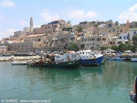 Jaffa harbour