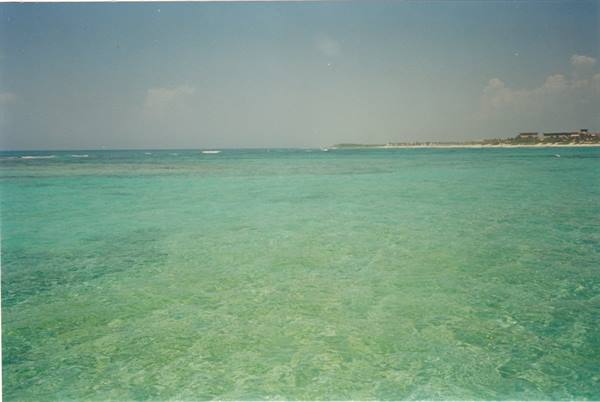 Maya sea...