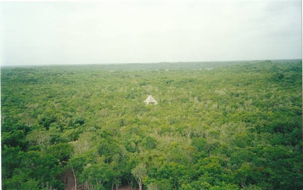 archaeological site of Cobá