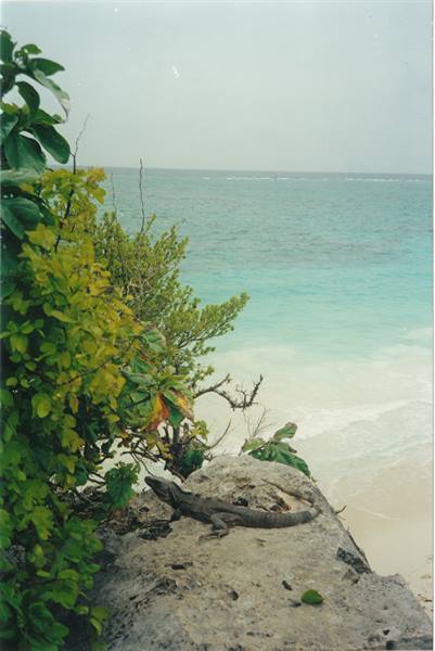 the guardian of Tulum