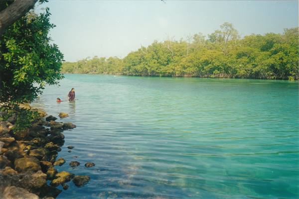Cancun, the lagoon