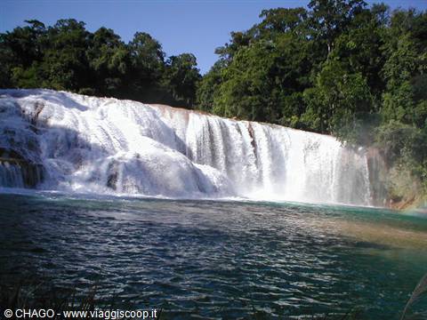 Agua Azul falls, Chiapas: turquoise water cascading into tropical forest