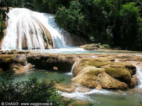 Agua Azul waterfalls, turquoise water flowing over moss-covered limestone rocks