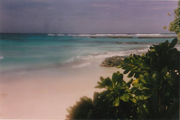 corner of paradise