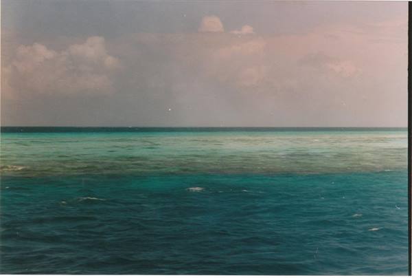 spectacular sea
