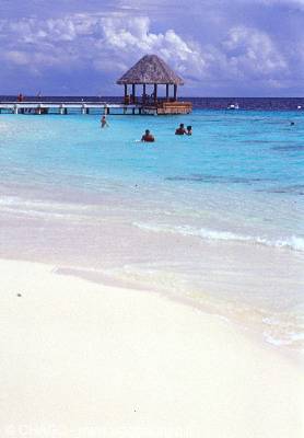 Wooden pier with thatched hut, people swimming in turquoise sea