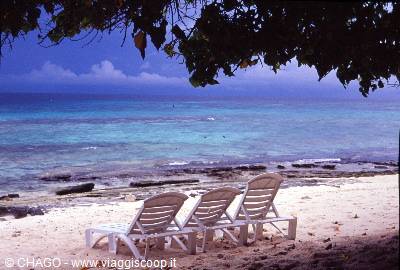 Empty loungers on sandy beach facing the turquoise Caribbean sea