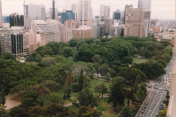 Skyscrapers towering over Hyde Park's trees, Sydney