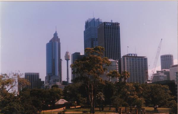 Sydney skyscrapers with Sydney Tower among park trees, daylight