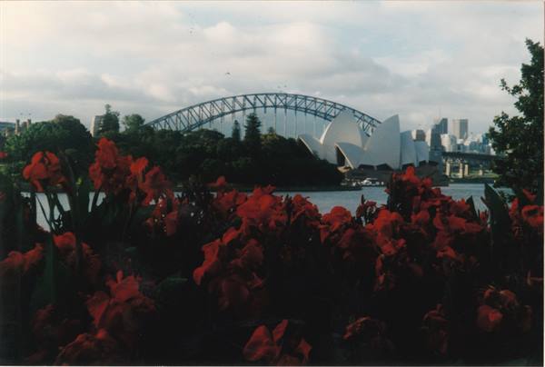 Red flowers in foreground, Sydney Opera House and Harbour Bridge under clouds