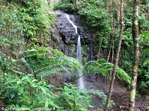 waterfall of the Blue Mountains