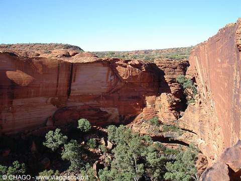 Red sandstone cliffs of Kings Canyon with green trees below