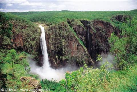 stunning Wallaman Falls