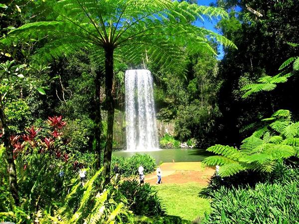 fascinating Millaa Millaa Falls