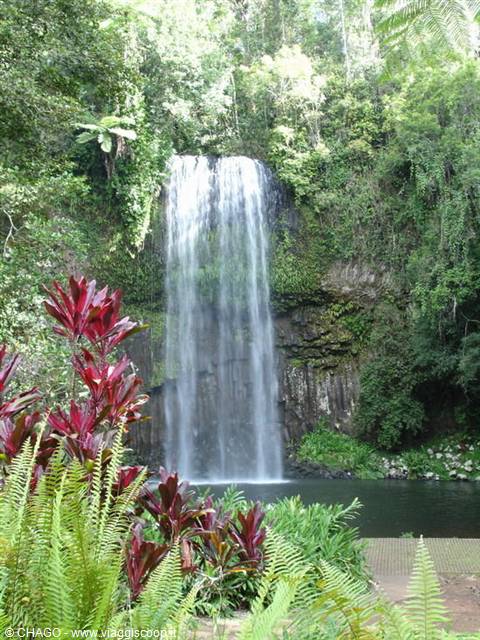 Millaa Millaa Falls