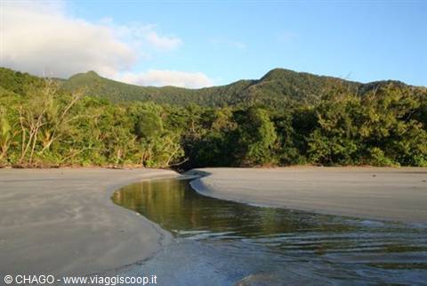 Daintree beach