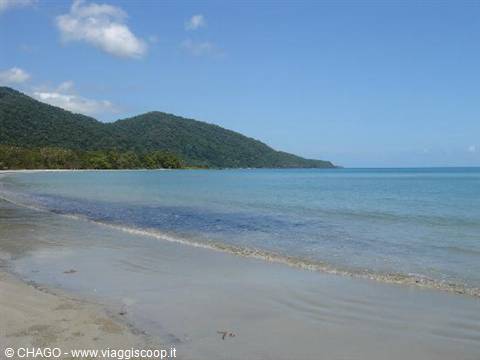 Cape Tribulation