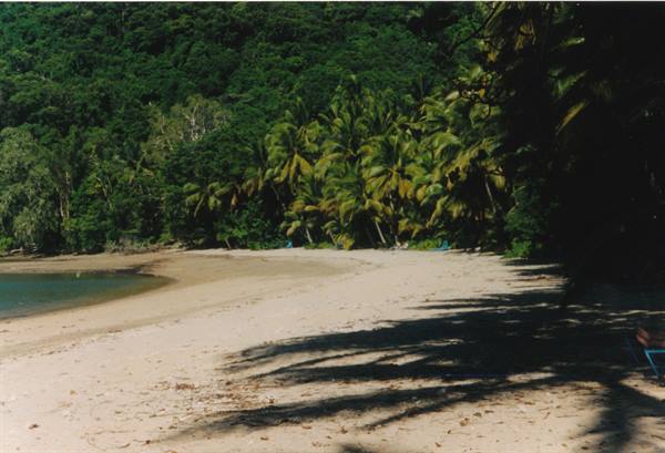 the beach of Dunk Island