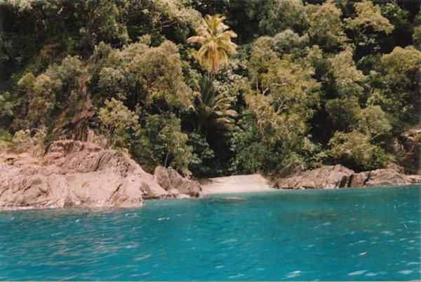 Hidden beach between rocks and palms, turquoise sea below a forested hillside