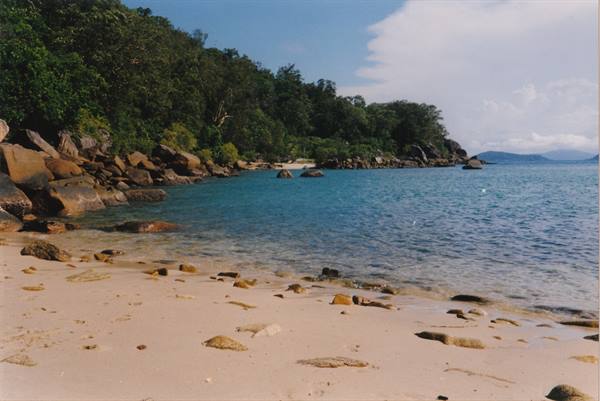 Pale sand and rocks on a tropical beach, green forest and turquoise sea