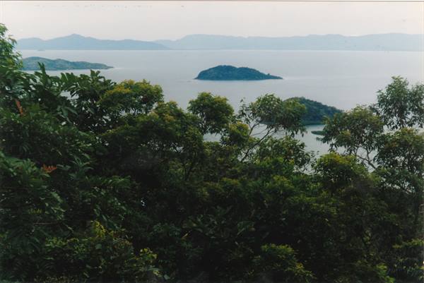 Lush islands in a grey bay among green trees
