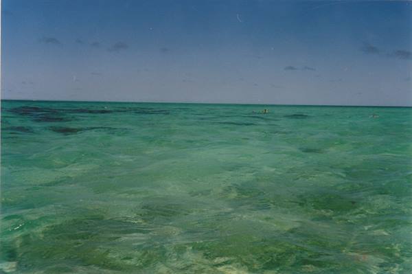 the wonderful Australian sea