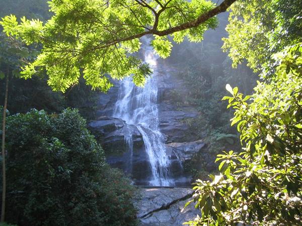 Tijuca waterfall