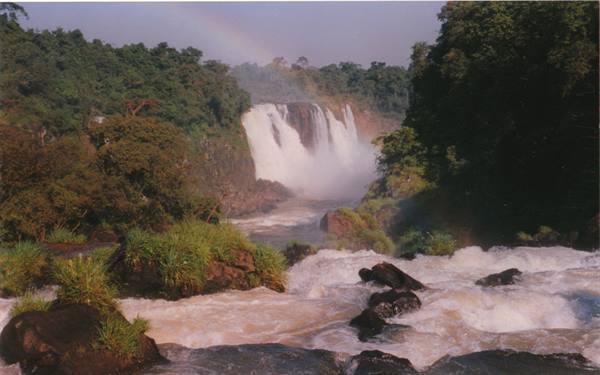 Iguazú Falls: powerful waterfalls among green forest, rainbow in the mist