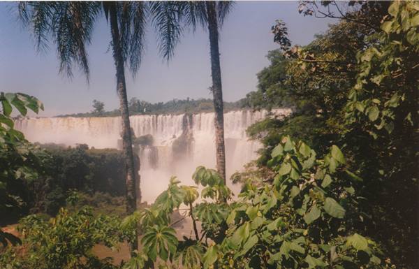 Immense waterfalls among palm trees and tropical jungle, misty water wall
